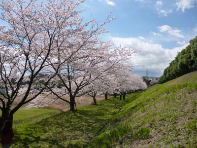 クリーンセンター2014