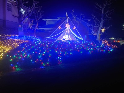 202512_イルミネーション
